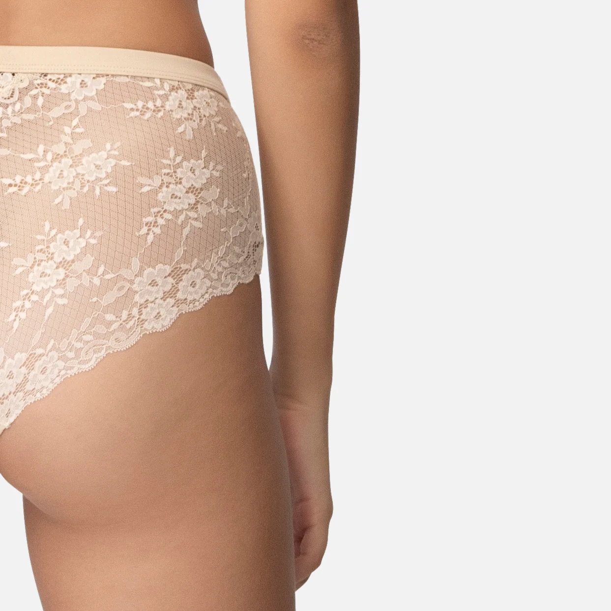 912 Lace Brief - Image 4